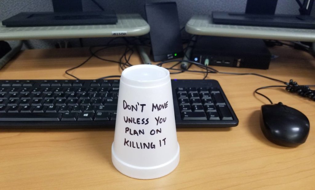 office-prank-bug-under-cup